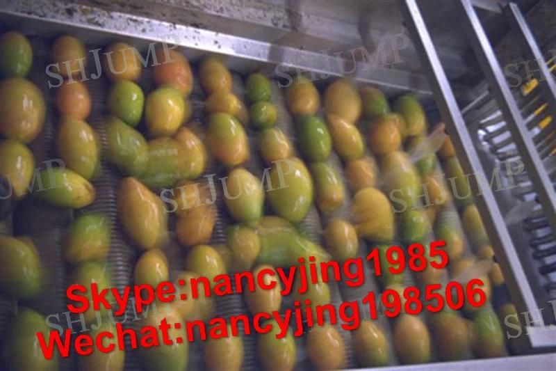 Mango Puree Making Machine & Mango Juice Processing Plant