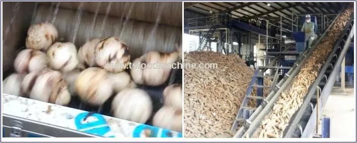 Industrial Automatic Taro Cassava Potato Washing Peeling Machine