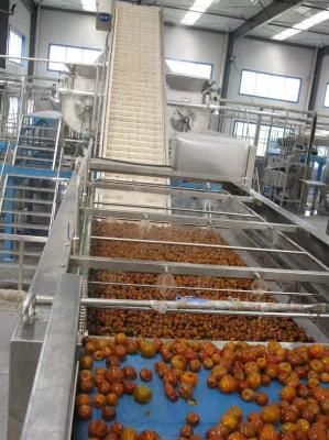 Top Quality Palm Dates Paste Production Line