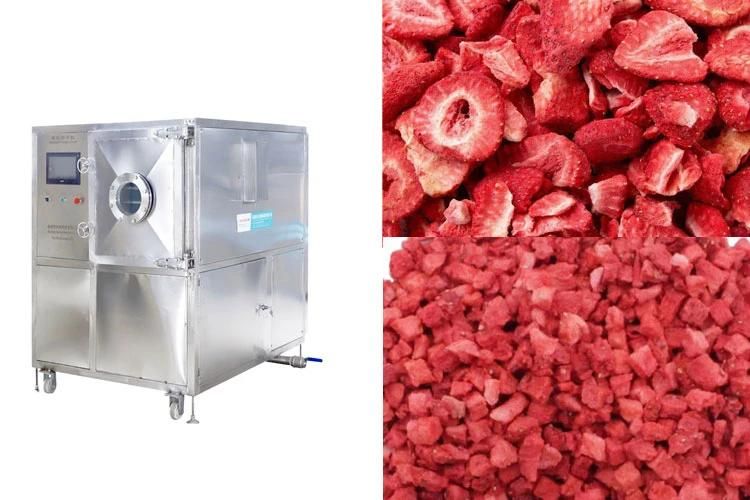 High Quality Freeze Dryer Fruits Machinedry Strawberry Vacuum Lyophilizer