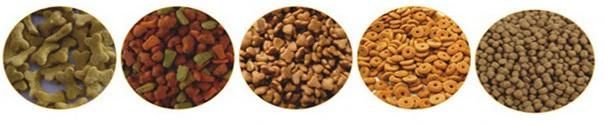 Fully Automatic Industrial Pet Food Machinery