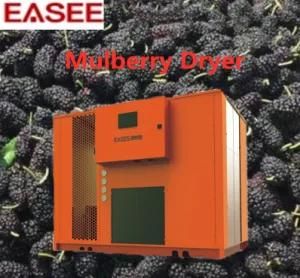 Large Batch Low Electricity Consumption Mulberry Dryer Fruit Drying Machine