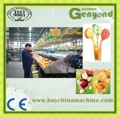 Shanghai Complete Mango Juice Processing Line