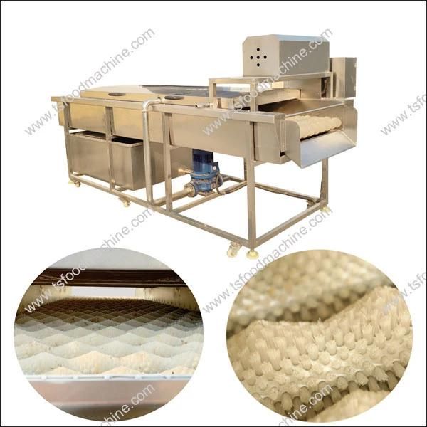 Fruit and Vegetable Washing Cleaning Machine Cucumber Washer