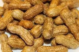 Continous Frying Machine for Nuts Continuous Fryer
