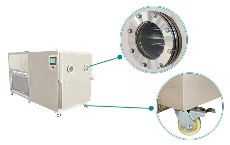 vacuum Freezer Lyophilization Machine Commercial Fruits Lyophilizer Price
