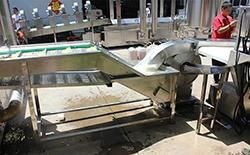 Full Automatic Potato Chips French Fries Machine Price