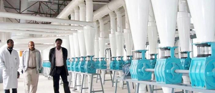 European Standard Wheat Flour Making Plant Processing Milling Mill Machine