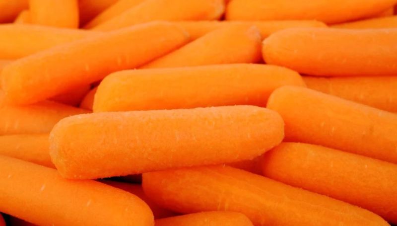 Vegetable Washer Machines Carrot Brush Washing Machine