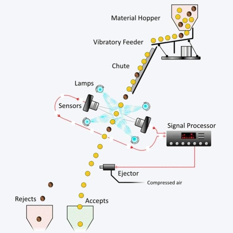 Abd Automatic Selecting Machinery CCD Raisin Color Sorting Machine