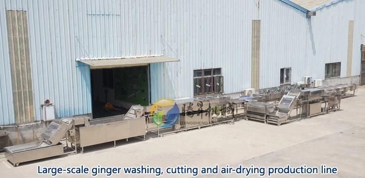 Electric Meat Processing Equipment Commercial Small Scale Beef Meat Cutting Machine (QX-30)