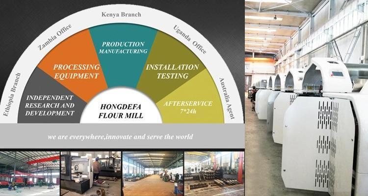 Turnkey Mill Wheat Flour Mill Plant Hot Sale From China Hongdefa Machinery Spare Parts Free