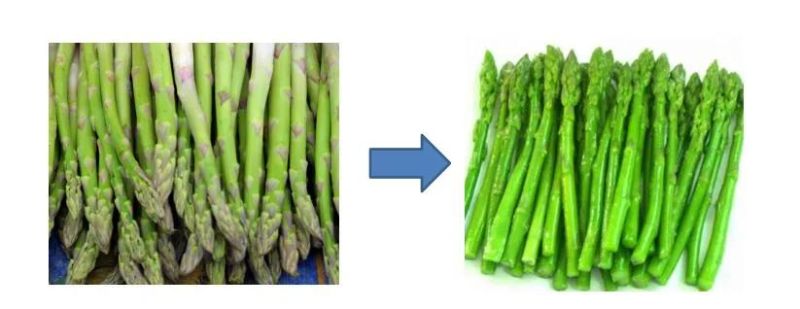 Asparagus Blanching Machine Asparagus Cooking Machine
