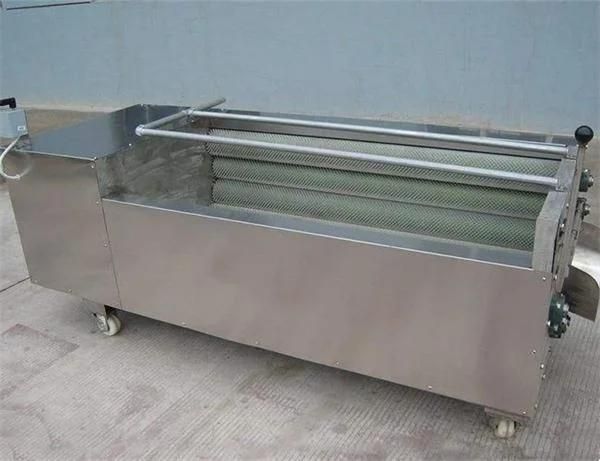 Vegetable Roller Brush Washing Peeling Machinery Potato Carrot Washing Machine