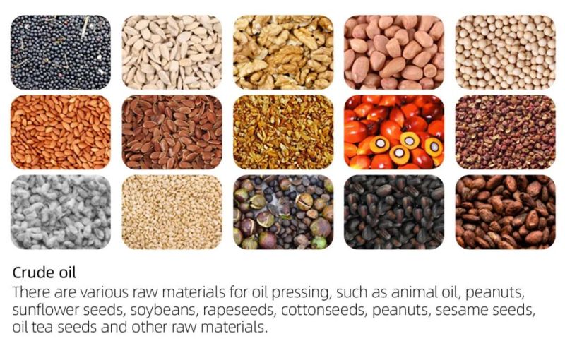 10tpd Guangxin Palm Kernel Oil Press Machine