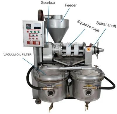 Medium Oil Machine Automatic Mustard Canola Oil Production Machine