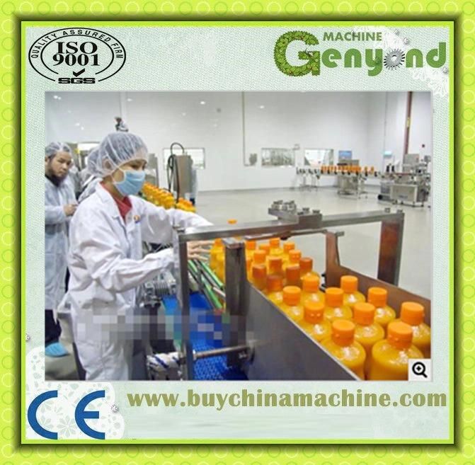 Orange Apple Fruit Juice Processing Line in China