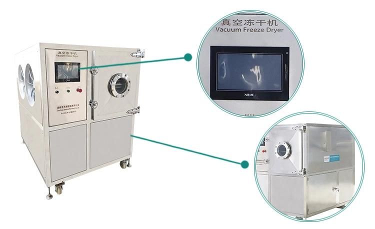 Vacuum Freeze Dryer Lyophilizer Machine Dried Broccoli Freeze Dehydrator