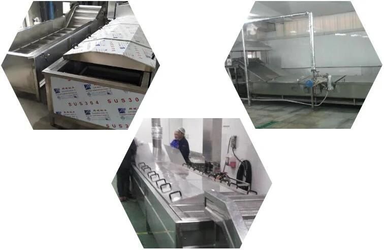 Cooking Systems for Vegetable Automatic Continuous Potato Chips Blanching Machine