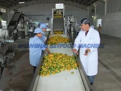 Beverage Machine for Mango Juice, Passion Fruit,