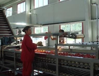 Shanghai Full Aotumatic Mango Juice Processing Machine