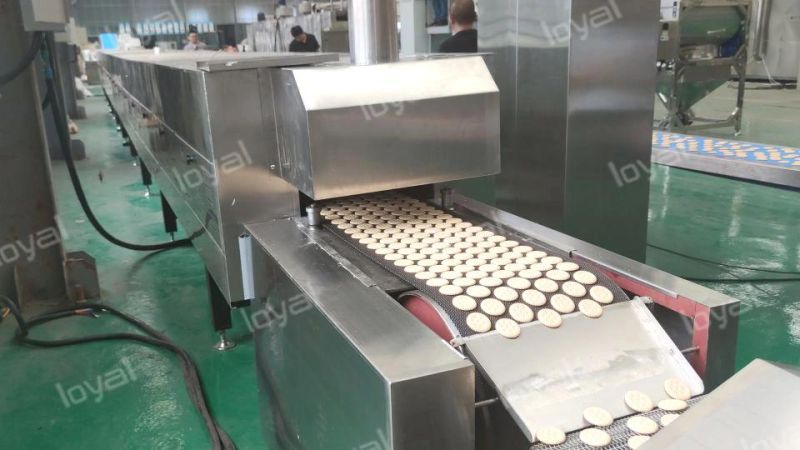 Automatic Soft and Hard Biscuit Making Machine Soft Biscuit Processing Line Biscuit Making Machine /Maker Price