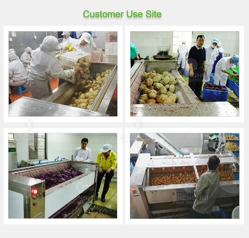 Brush Onion Peeling Machine Sweet Potato Peeler Food Equipment