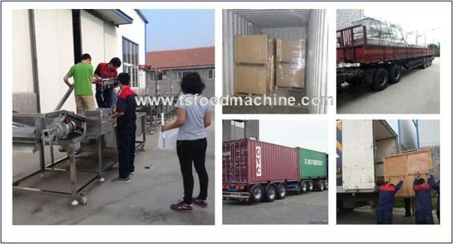 Vacuum Bags Food Washing Machine and Cleaning Machine