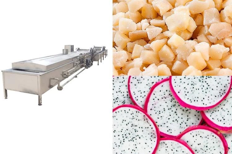 Industrial Vegetable and Fruit Blanching Machinery Fruits Food Blancher Machine