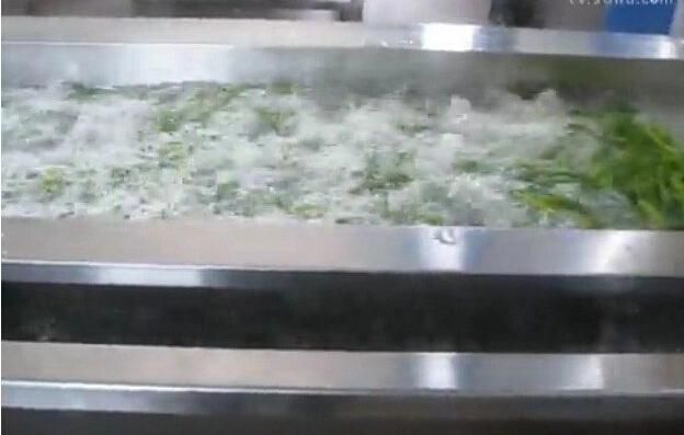 High Output 800kg/H Fruit Vegetable Washing Cleaning Machinery