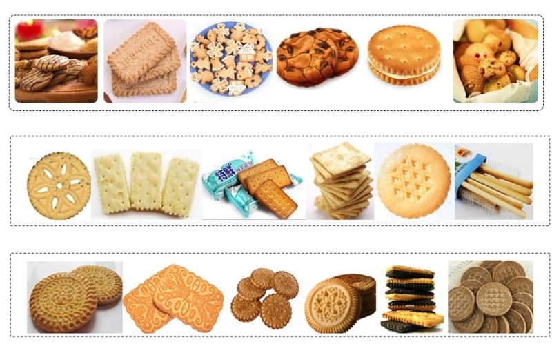 2021 Hot Salse Biscuit Factory Machinebiscuit Cookie Machine