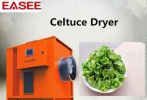 Factory Selling Fruit and Vegetable Processing Machinery Celtuce Dryer Dehydration