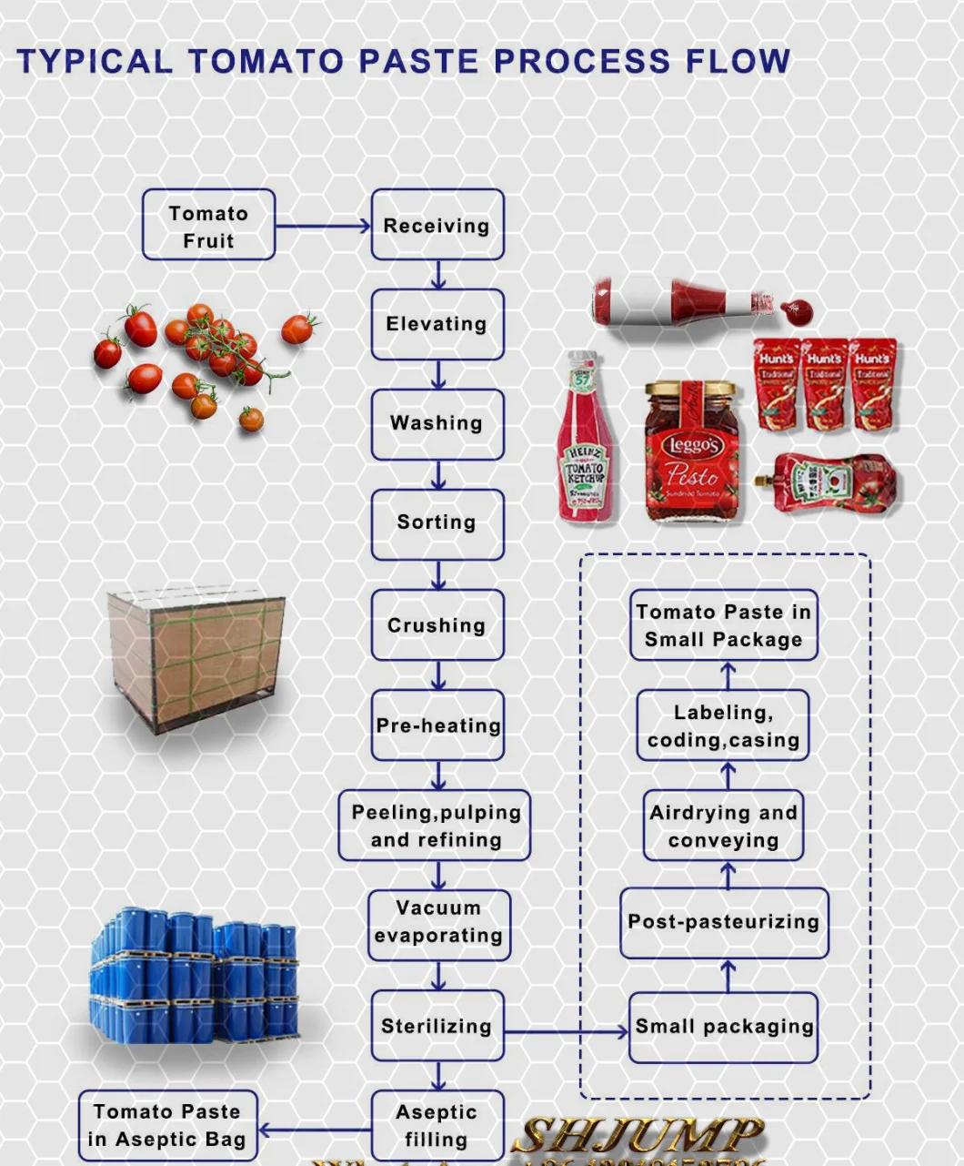 Samll Scale Capacity 500kg Per Hour Tomato Paste Sauce Ketchup Making Machine