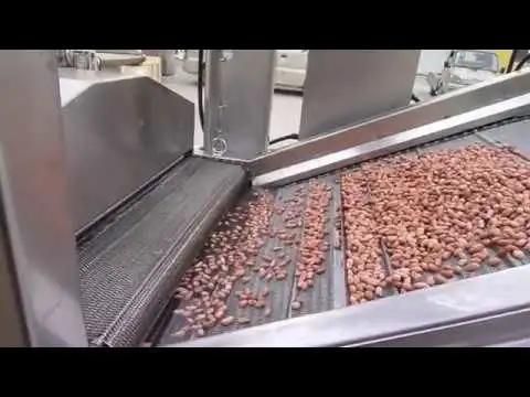Peanut Blanching Machine Peanut Soaking Machine