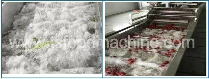 Automatic Vegetables Lettuce Bubble Washing Machine