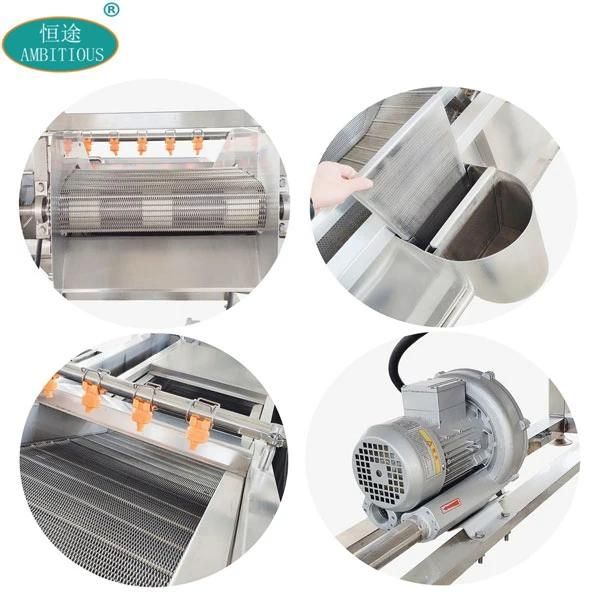 Leafy Vegetable Washing and Drying Line 3meter Spinach Cleaning Machine
