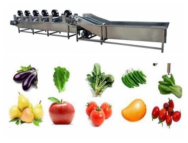High Quality Automatic Vegetable Cleaning Machinery Manufacturer Price