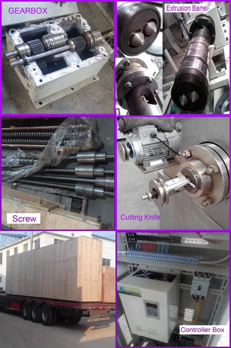 New Type High Repaid Nutritional Rice Equipment with Ce