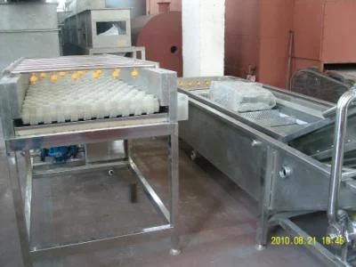 Manual Vegetable Cutter - Vegetable &amp; Fruit Processing Equipment
