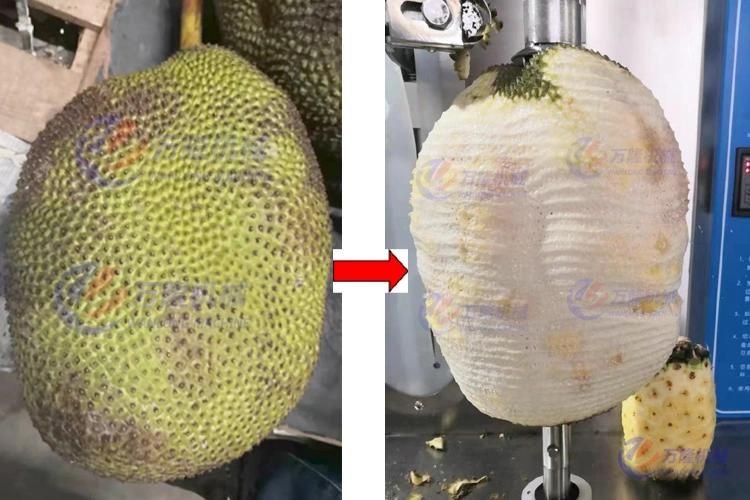 High Output Pineapple Breadfruit Pumpkin Squash Peeler Peeling Machine