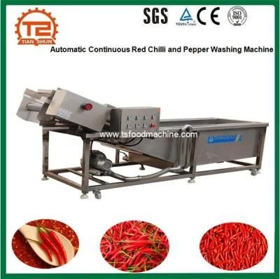 Automatic Continuous Conveyor Red Chilli and Pepper Washing Machine