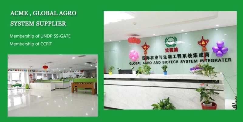 Flour Mill Cassava Milling Machine Flour Grinding Machine
