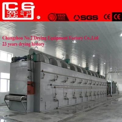 Carrot Belt Conveyor Drying Equipment