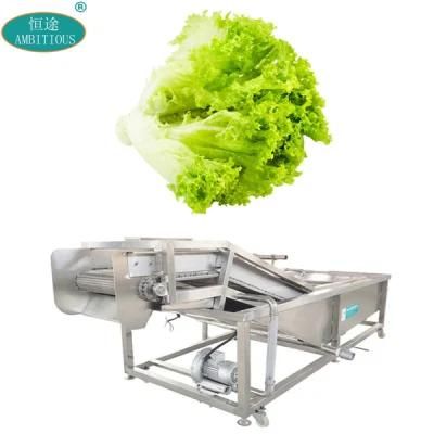 Leafy Vegetables Washer Destoner Cleaning Machine Lettuce Bubble Washing Machine