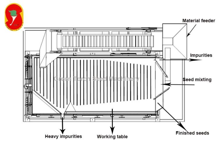 Green Torch Grain Seed Cleaner Machine on Sale