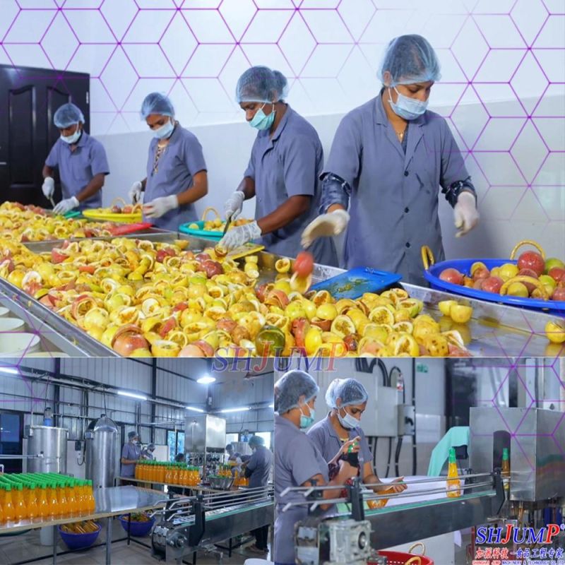 Bulk Drum Packed Lycium Chinensis Juice Production Line