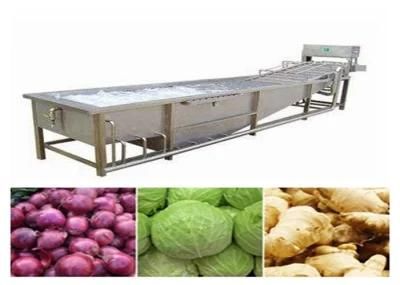 Shandong Factory Direct Supply Air Bubble Vegetable Cleaning Machinery
