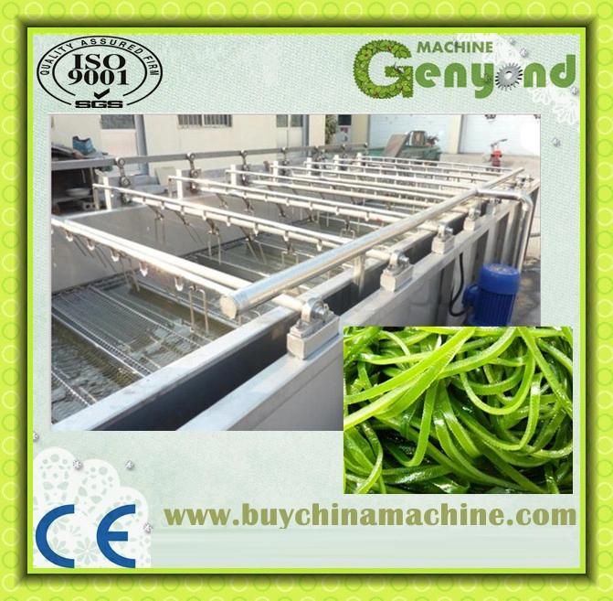 Shanghai Automatic Washing Machine for Vegetable Processing
