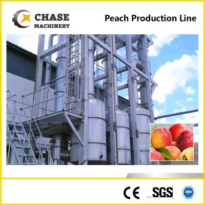 Excellet Quality Chili Paste Processing Line Equipments