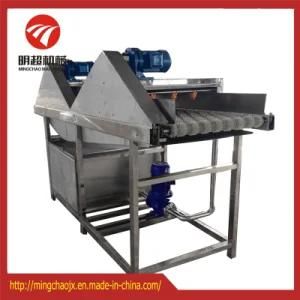 Parallel Brush Fruit Washer and Root Vegetable Washing machine